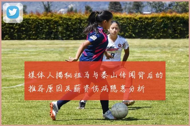 媒体人揭秘祖马与泰山传闻背后的推荐原因及薪资伤病隐患分析