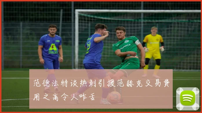 范德法特谈热刺引援范赫克交易费用之高令人咋舌